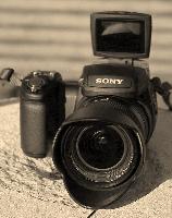 Cliquer pour agrandir la photo