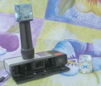 Cliquer pour agrandir la photo