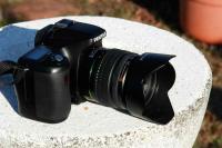 Cliquer pour agrandir la photo