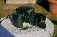 Cliquer pour agrandir la photo