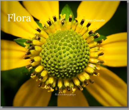 Flora