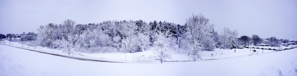 NEX-7 - _DSC7949-p_0001