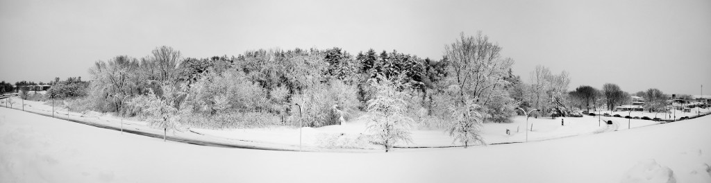 NEX-7 - _DSC7949-p_0001nb