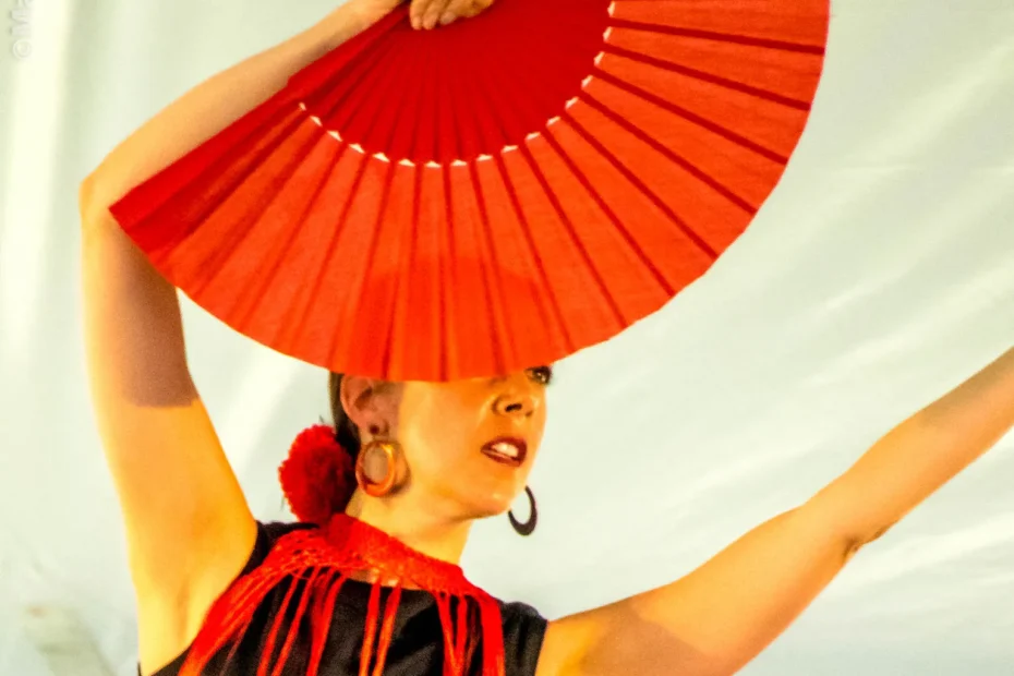 Flamenco au Parc des Chenaux Flamenco au Parc des Chenaux