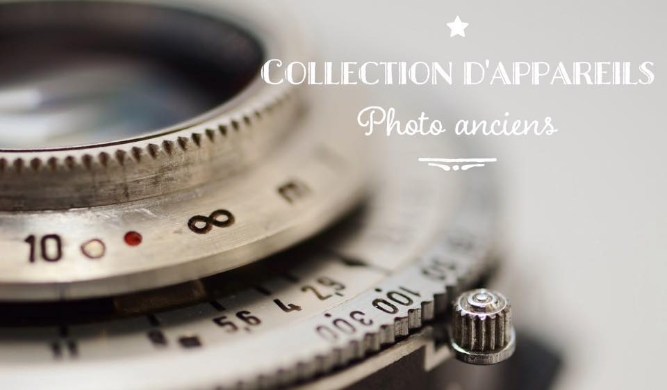 12108968_442100919308919_7977658591276109813_n