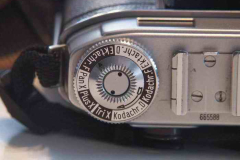 Retina