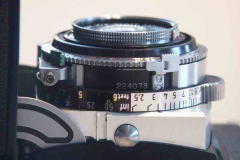 Retina